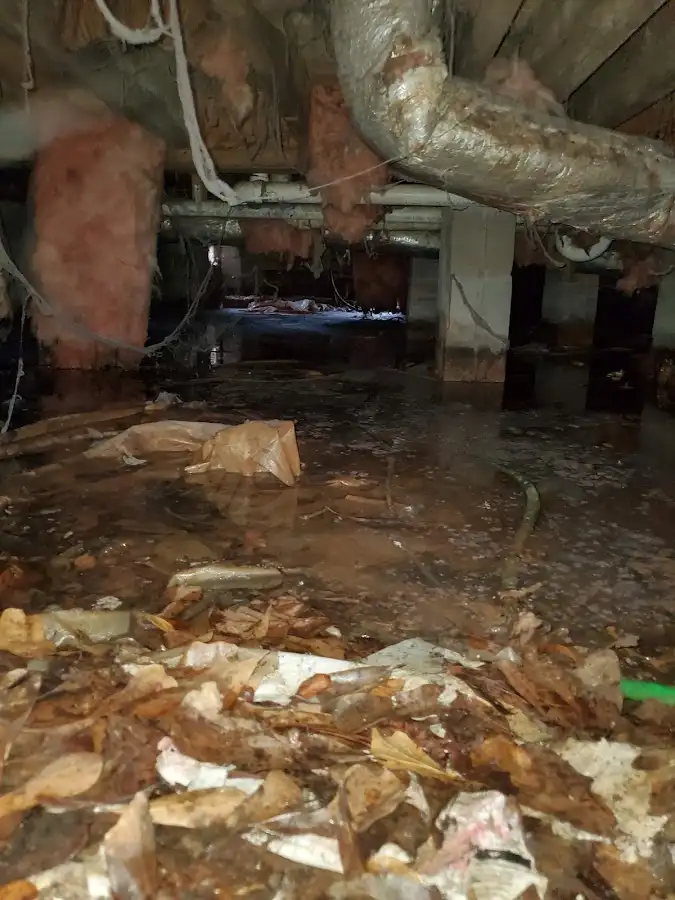 Crawl space flood assessment for Leak Detection & Repair in Moss Point
