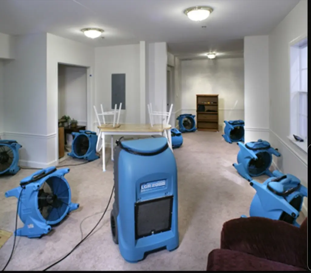 Air movers and dehumidifier setup for Water Extraction & Removal in Moss Point